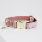 Lade das Bild in den Galerie-Viewer, Hundehalsband aus Samt - rosa
