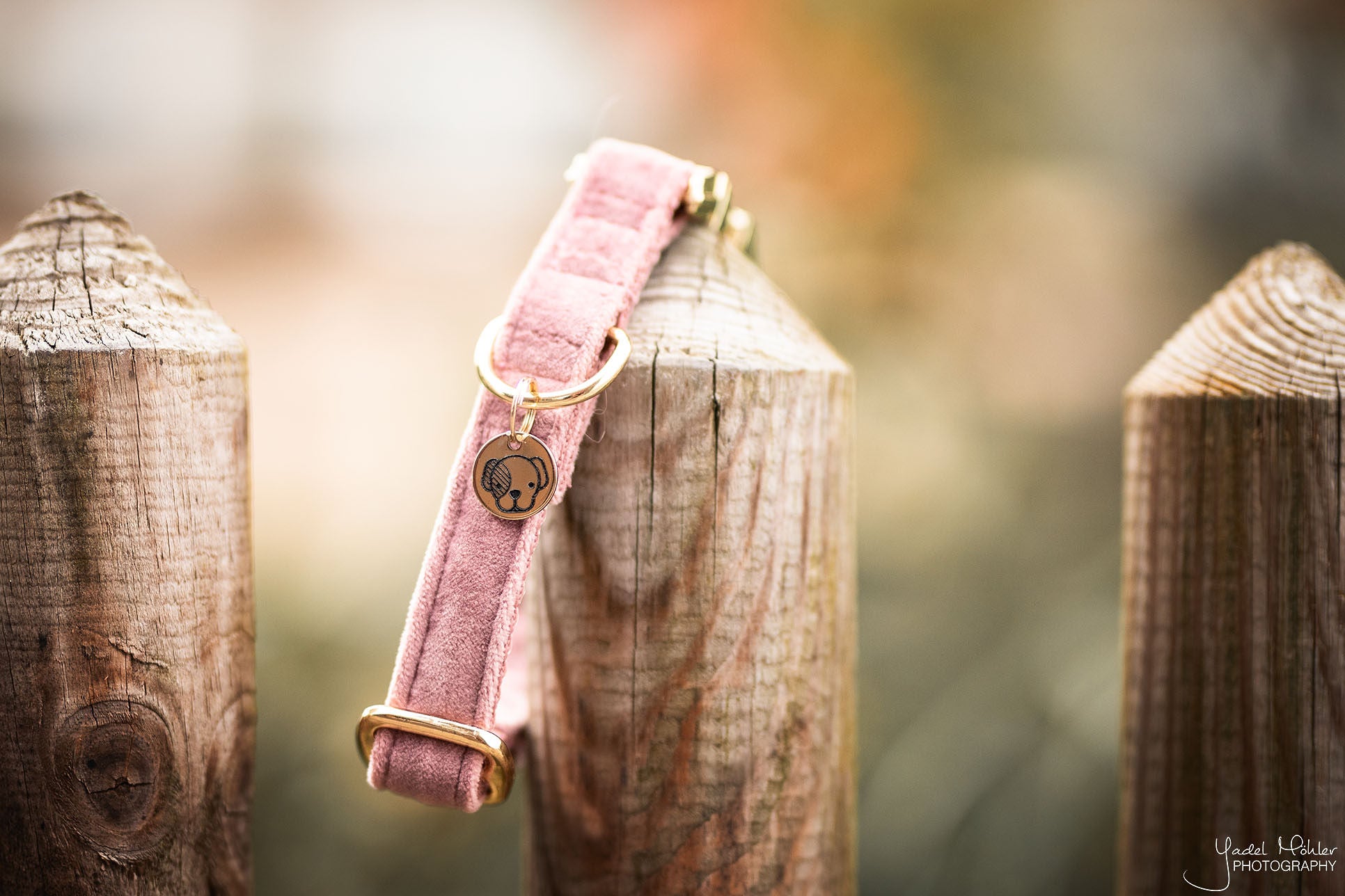 Hundehalsband aus Samt - rosa