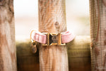 Lade das Bild in den Galerie-Viewer, Hundehalsband aus Samt - rosa
