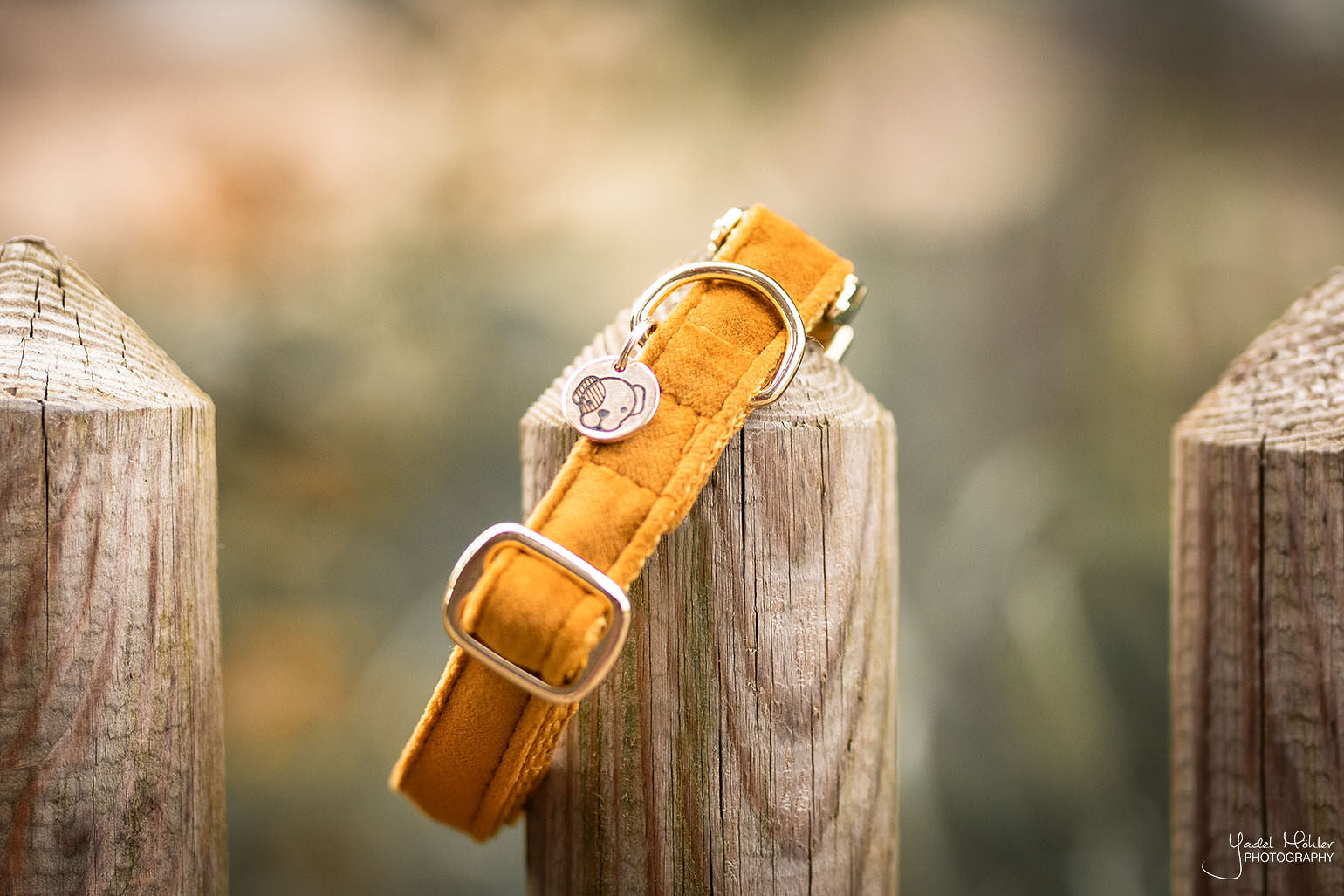 Hundehalsband aus Samt - senf