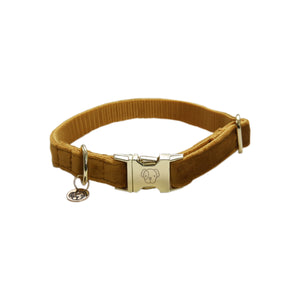 Hundehalsband aus Samt - senf