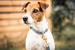 Hundehalsband aus Samt - hellblau