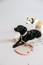 Lade das Bild in den Galerie-Viewer, Hundehalsband Wolle - rosa
