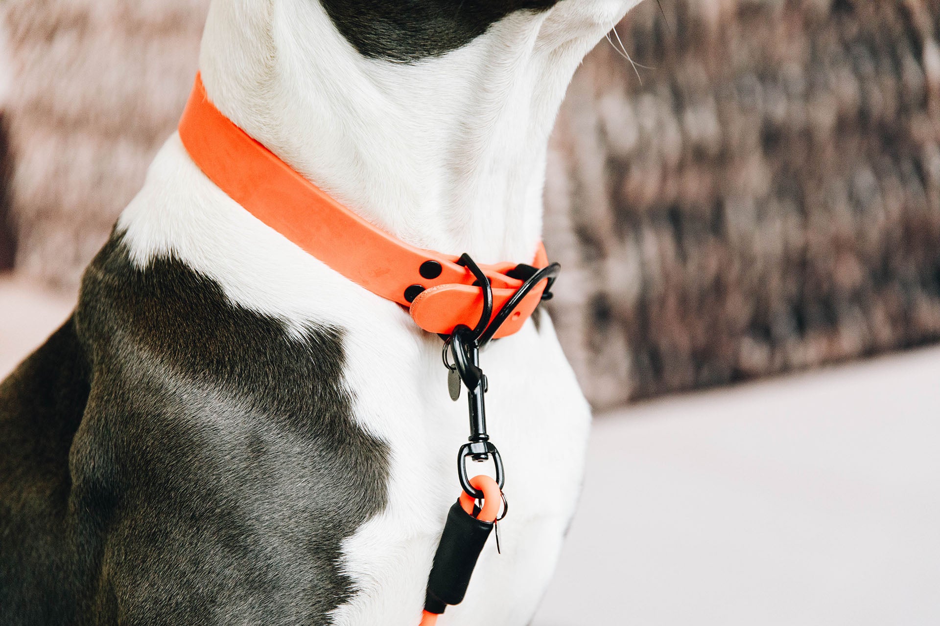 Halsband zu Schleppleine Soft Rubber - neon orange