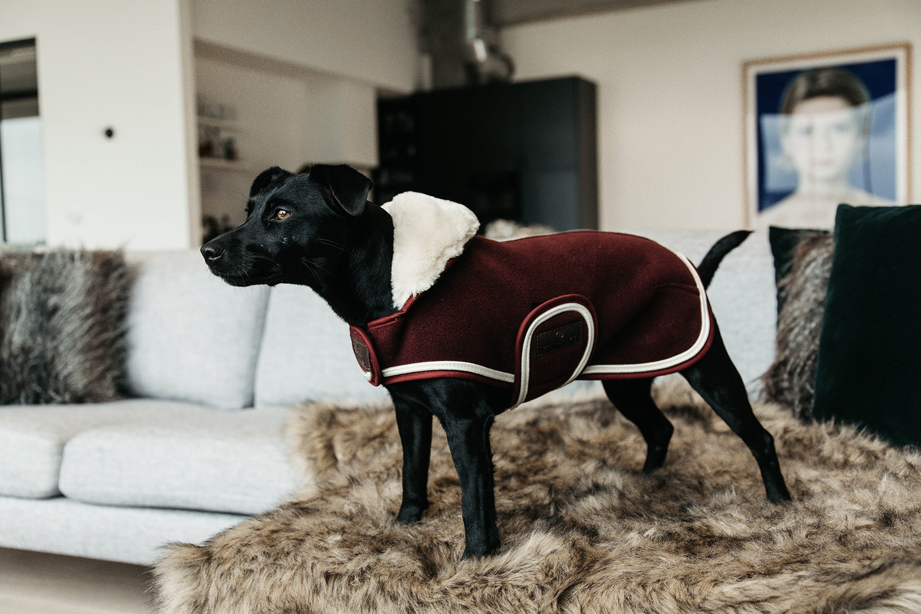 Hundemantel aus Fleece - bordeaux