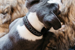 Lade das Bild in den Galerie-Viewer, Halsband mit Perlen - silber
