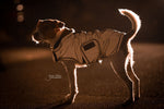 Lade das Bild in den Galerie-Viewer, Hundemantel - reflektierend &amp; wasserabweisend
