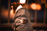 Lade das Bild in den Galerie-Viewer, Hundemantel - reflektierend &amp; wasserabweisend
