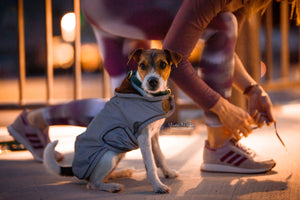 Hundemantel - reflektierend & wasserabweisend