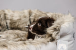 Lade das Bild in den Galerie-Viewer, Bequemes Hundebett Cave
