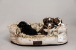 Lade das Bild in den Galerie-Viewer, Bequemes Hundebett Cave

