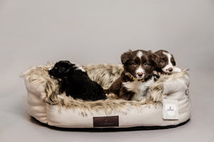 Bequemes Hundebett Cave
