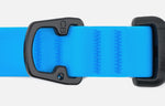 Lade das Bild in den Galerie-Viewer, DeWater Collar Hundehalsband
