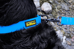 DeWater Collar Hundehalsband