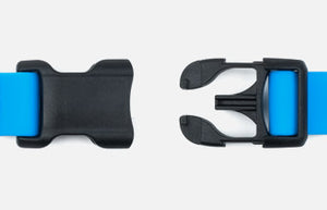 DeWater Collar Hundehalsband