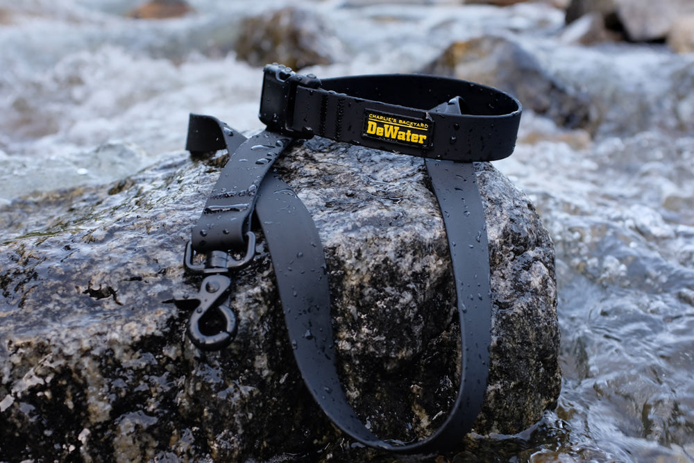 DeWater Leash Hundeleine