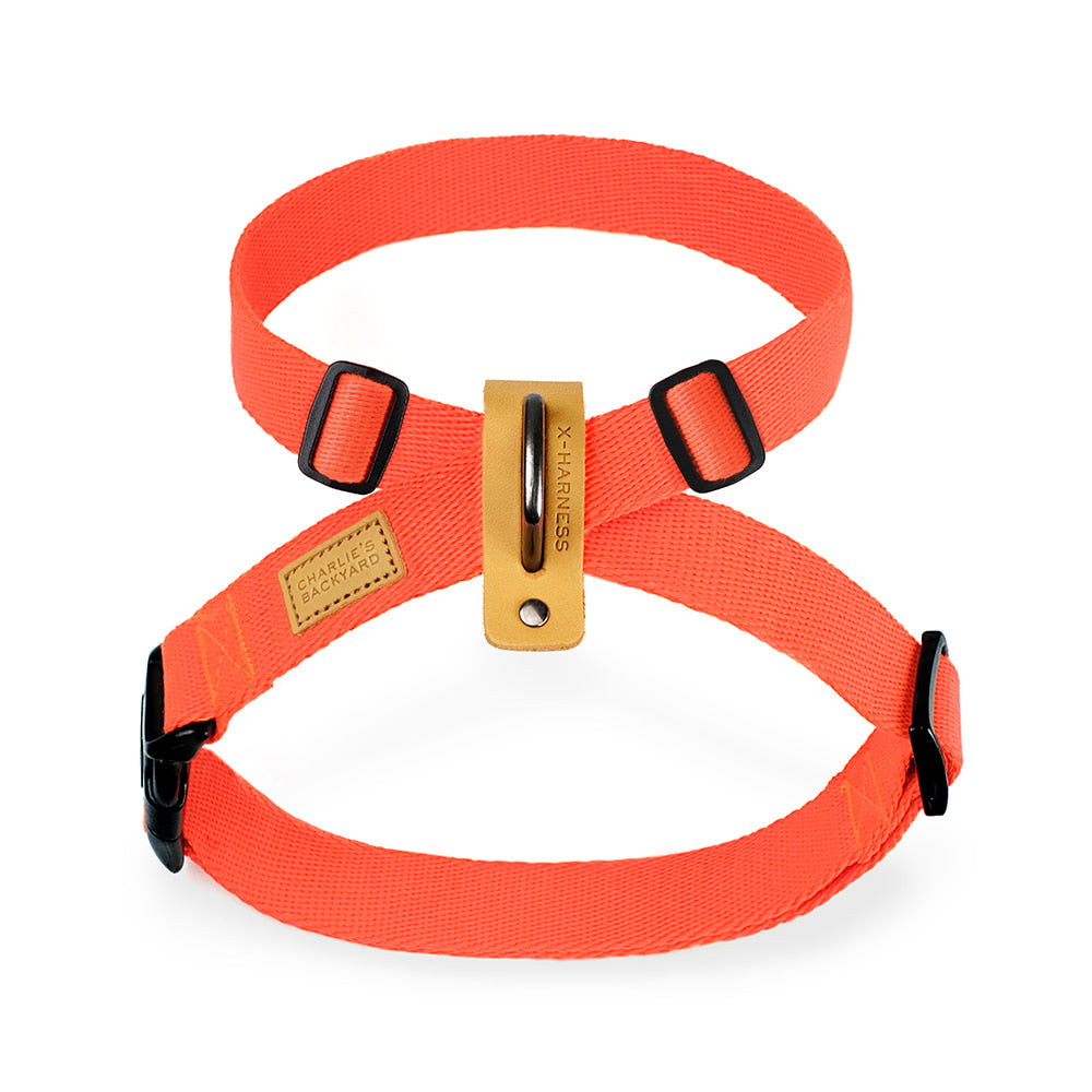 Field-X Harness Hundegeschirr