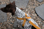Lade das Bild in den Galerie-Viewer, Field-X Harness Hundegeschirr
