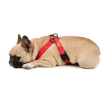 Lade das Bild in den Galerie-Viewer, Field-X Harness Hundegeschirr
