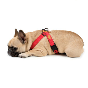 Field-X Harness Hundegeschirr