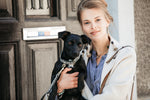 Lade das Bild in den Galerie-Viewer, Hundehalsband mit Hahnentrittmuster - beige
