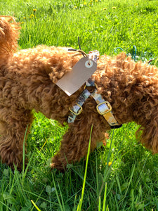 Hundegeschirr Optimus handgenäht