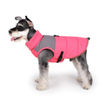 Lade das Bild in den Galerie-Viewer, Pola Harness Jacket - Pink
