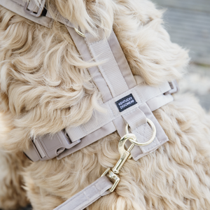 Brustgeschirr Aktiv Velvet beige