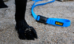 Lade das Bild in den Galerie-Viewer, DeWater Leash Hundeleine
