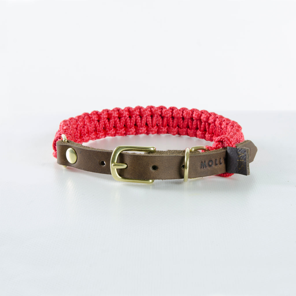 Paracord Hundehalsband mit Leder